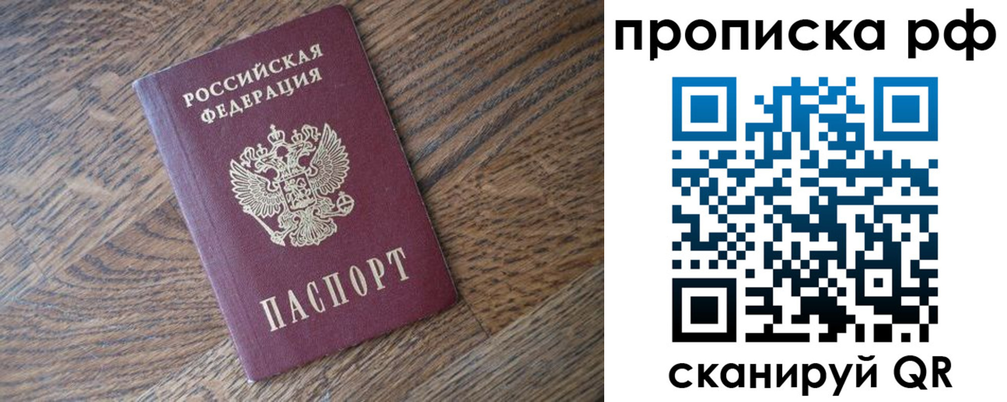 прописка поиск в Камышине